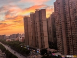 严禁非标“老年代步车”上路？官方答疑来了